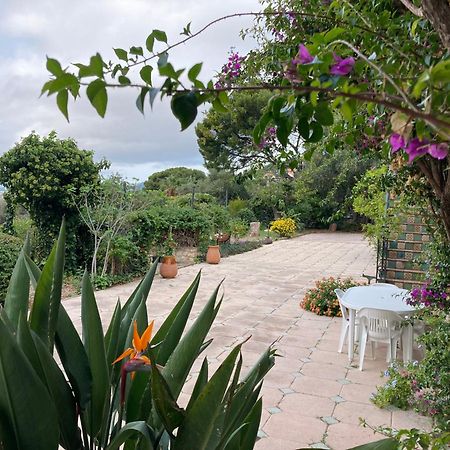 Mas Sainte Marie Apartment Toulon Ngoại thất bức ảnh