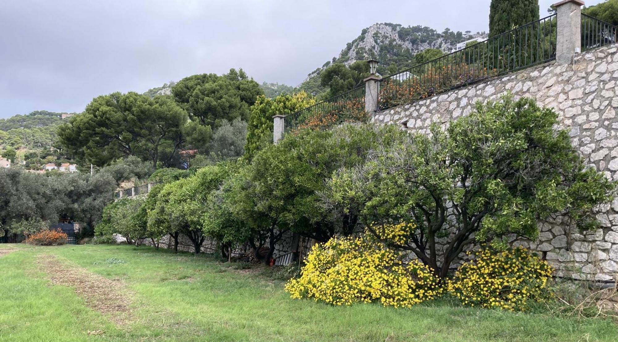 Mas Sainte Marie Apartment Toulon Ngoại thất bức ảnh